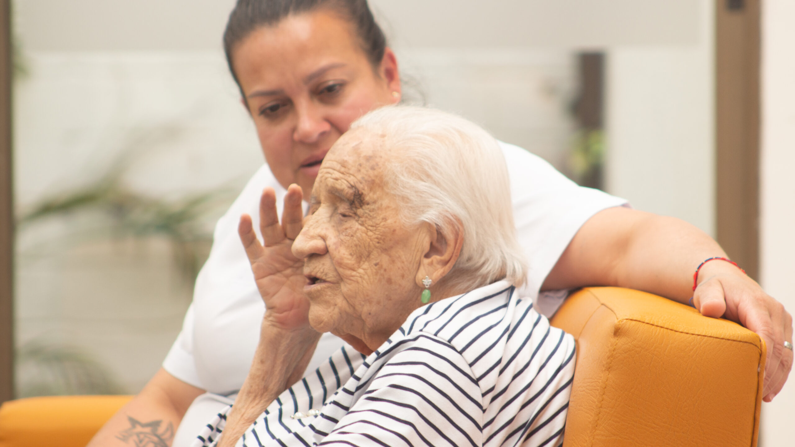 Cuidado del adulto mayor: Guía para familiares y cuidadores